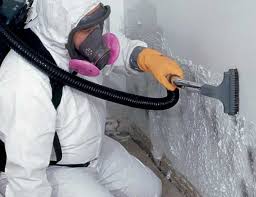 Best Residential Mold Inspection & Testing in Pullman, WA